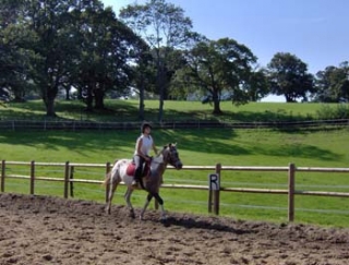 Centro ecuestre en Pirineos Atlánticos 